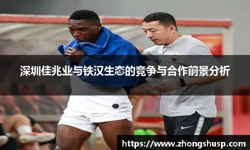 深圳佳兆业与铁汉生态的竞争与合作前景分析